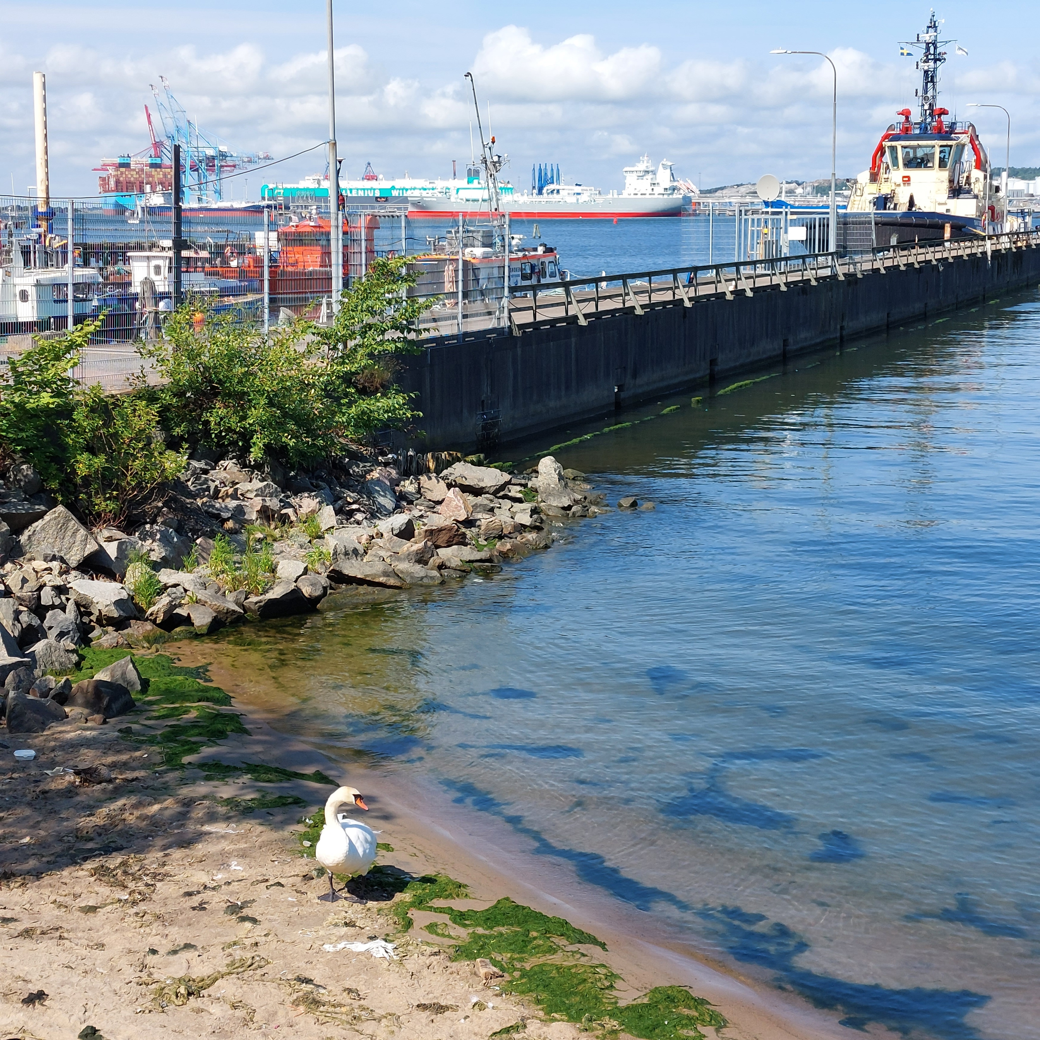göteborg